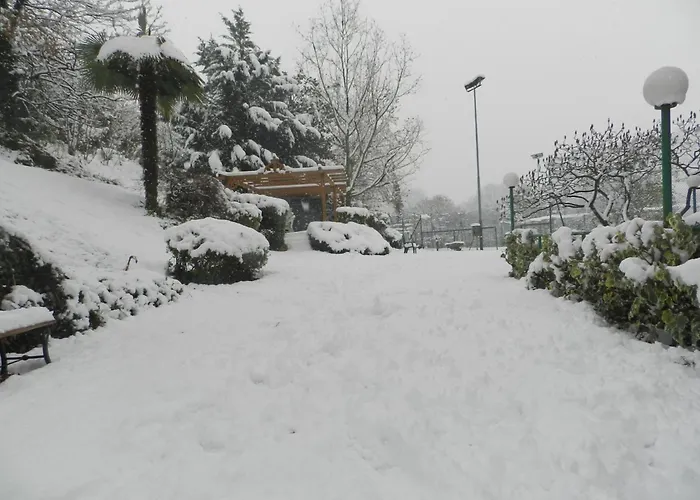 フォサッティ Triuggio